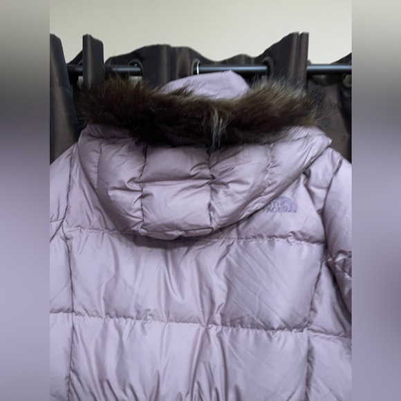 The North Face New Dealio Water Repellant 550 Fill Power Down Parka - Picture 7 of 8